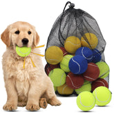 Magicorange dog tennis ball 2.5-inch in vibrant colors for fetch
