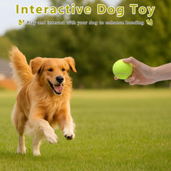 Magicorange orange dog tennis ball, vivid hue helps attract your dog's attention.
