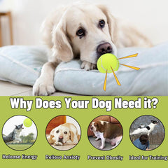 Magicorange dog tennis ball close-up reveals built-in squeaker for interactive play.
