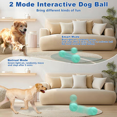 Magicorange interactive dog ball biting action demonstrates touch-activated rolling