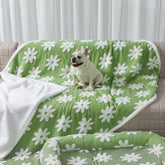 Maidewow waterproof pet blanket in XS size protects sofa from spills.