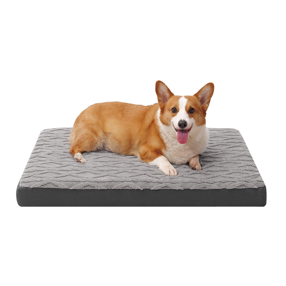Maihandasi memory-foam close-up shows cushioned support for small dogs.