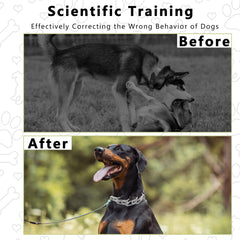 Maiiu collar worn during walks aids gentle control and cues.