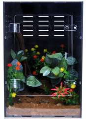 maiyuolg reptile enclosure front view for easy monitoring of geckos and small reptiles