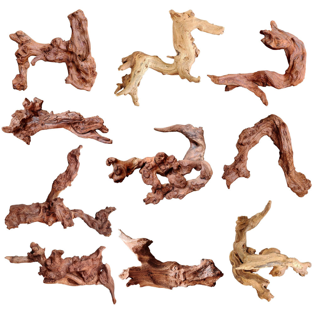 majoywoo driftwood branch 2-4.5inch collection adds natural aquarium aesthetics and versatility