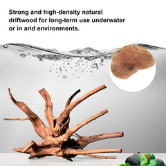 Majoywoo driftwood helps create moss trees and natural aquascaping features