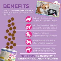 Makondo Pets prenatal chews closeup, chicken-flavor bites for all breeds