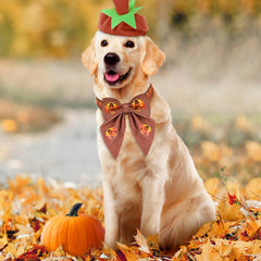 Malier adjustable dog collar shows size options for small to large dogs and cats