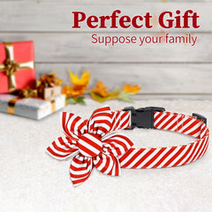 Malier adjustable dog collar provides a customizable fit for all sizes.
