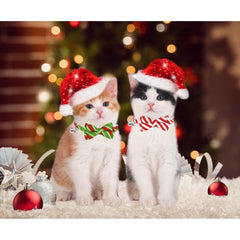Malier cat collar bell helps locate your cat indoors