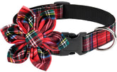 Malier Christmas dog collar buffalo plaid worn on a dog for festive walks.