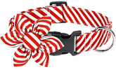 Malier Christmas dog collar with flower adds festive flair for holiday walks.