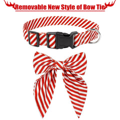 Malier Christmas dog collar worn on a dog, demonstrating comfortable lightweight material.
