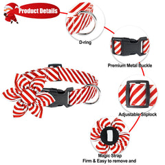 Malier Christmas dog party collar delivers cheerful style for celebrations.