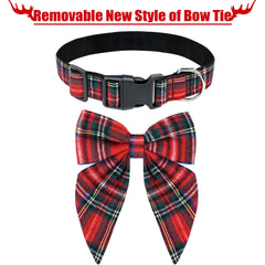 Malier dog collar adjustable sizes—comfortable fit across small to large dogs.