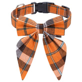 Malier thanksgiving dog collar with bow tie on a festive walk