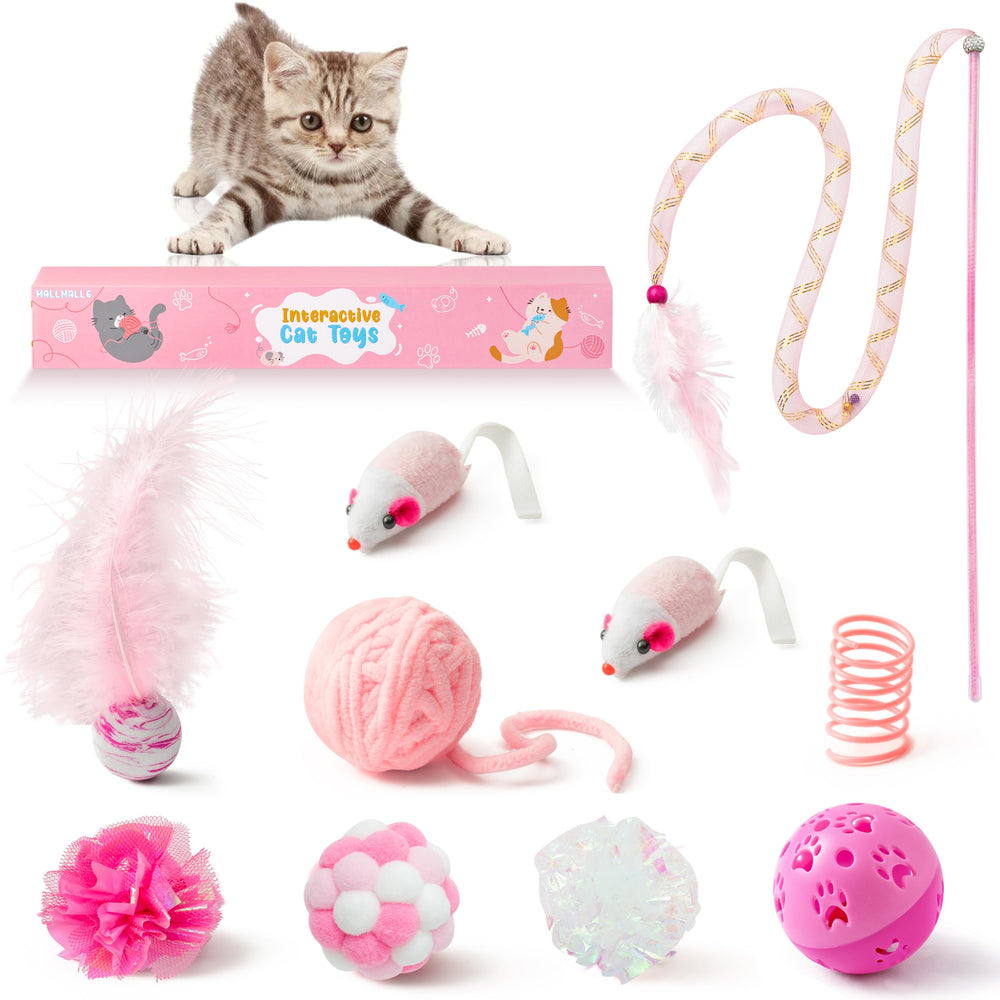 MALLMALL6 10Pcs Cat Toy Set feather teaser wand for interactive play