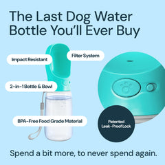 MalsiPree portable dog water bowl ready for quick drinking