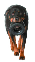 Mammoth TireBiterII tug-of-war-ready design supports playful tug sessions.