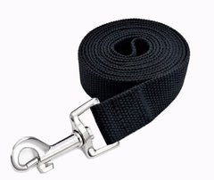 MANDAO 5ft leash in use during training for controlled recalls
