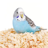 Manon Rosa natural-aspen bedding open bag for quick cage setup.