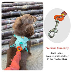 MANON ROSA sausage leash cat-friendly-use for secure indoor-outdoor fun.