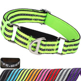 MAOWUWUJOZ martingale collar for small dogs with padded comfort during daily walks.
