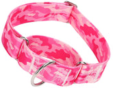 MAOWUWUJOZ martingale collar front view demonstrates sturdy build for confident training and everyday walking