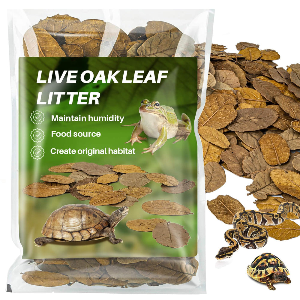 MAQIHAN dry oak leaf litter package showing natural substrate for reptiles and isopods