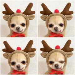 Maruomiki fleece dog jacket orange, cozy warmth and comfortable fit for small to medium dogs.