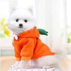 Maruomiki fruit dog coat orange model wearing for everyday warmth and cuteness.