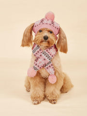 MaruPet dog Christmas party look ideal for photoshoots and family gatherings.