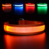 MASBRILL collar LED para perro, ideal para paseos nocturnos con alta visibilidad.