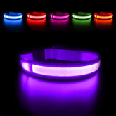 MASBRILL collar LED purpura recargable para mayor visibilidad nocturna