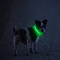 Collar LED MASBRILL recargable, ideal para paseos nocturnos seguros