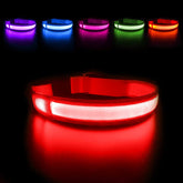 MASBRILL correa LED para perros recargable, ideal para paseos nocturnos.