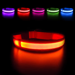 MASBRILL Light Up Dog Collar glowing LED on for nighttime visibility