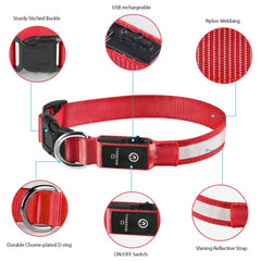 MASBRILL Three-mode LED collar demonstrating fast flash, steady flash, and constant light.