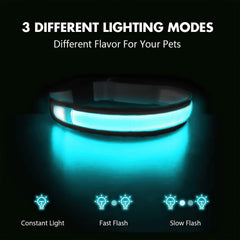MASBRILL waterproof dog collar withstands all weather for lasting use