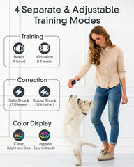 MASEDA four-mode interface enables versatile training options for dogs.