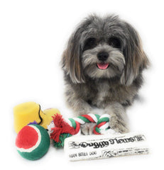 Massca squeaky boot dog toy sparks curiosity during festive indoor fun.