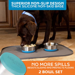 Tazones resistentes al óxido de Master Pet Supply para uso interior y exterior.