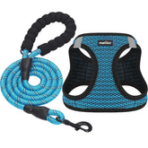 Matilor dog harness step-in design for quick, easy on/off during daily walks.