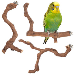 Matutinus natural grape wood branch perch provides a safe chew-friendly perch for small birds.