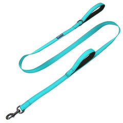 Max and Neo double handle leash teal for durable daily walks