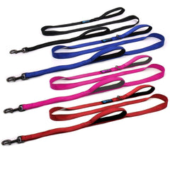 Max and Neo reflective stitching on leash enhances nighttime visibility for safer walks