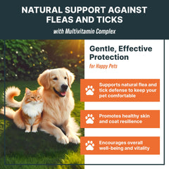 MaxBuddy drops in water bowl showing easy daily dosing for pets.