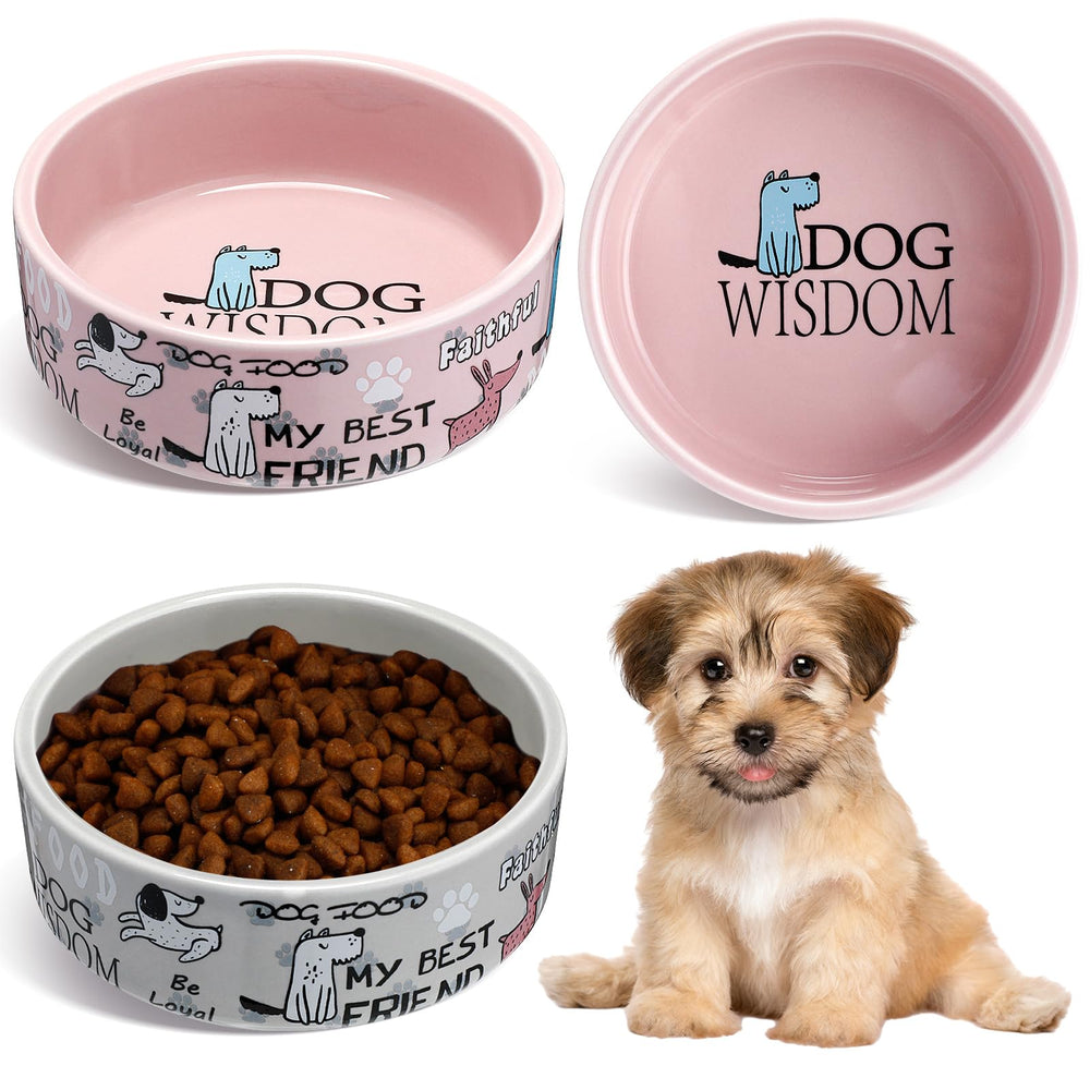 Maxcheck pink-gray ceramic dog bowls set, front view—great for daily meals and easy home dining.