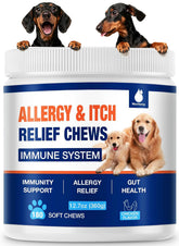 MaxHemp dog allergy chews bottle offers a tasty daily treat supporting skin comfort.