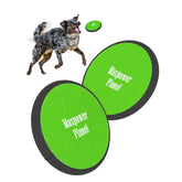Maxpower Planet 10inch dog flying disc soft-to-catch for gentle fetch.